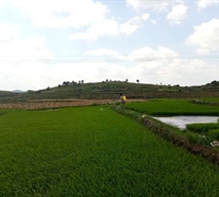 中華人民共和國農(nóng)業(yè)農(nóng)村部令 2021年 第1號 　　　　　　　　　　　　　　　　　　　